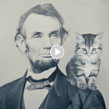 Famous Cats Through History