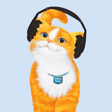 Music Playlist for Cool Cats